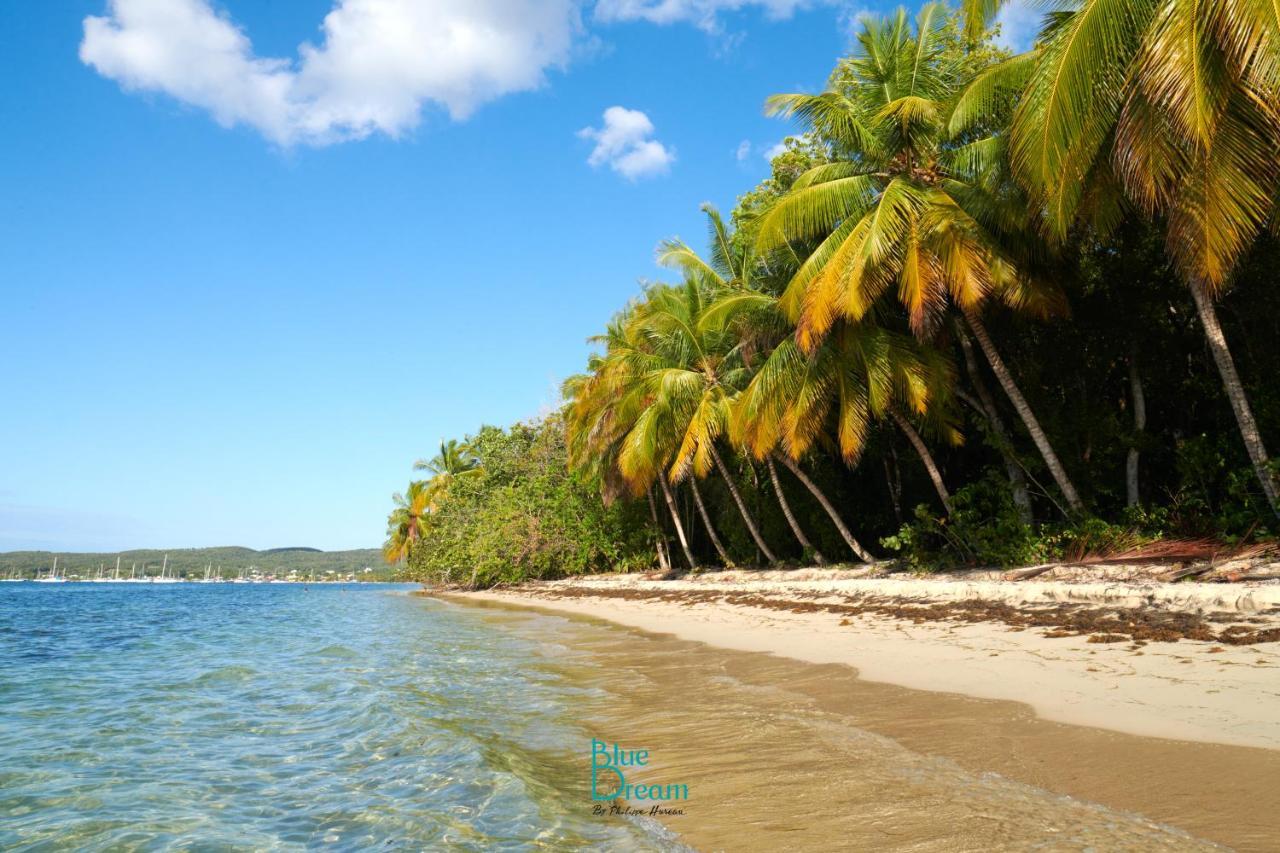 Residence Kawann Plage & Piscine - Hamaca 102 Folle Anse エクステリア 写真